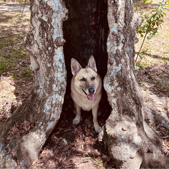 Meet your fellow posher! - Picture 4 of 15